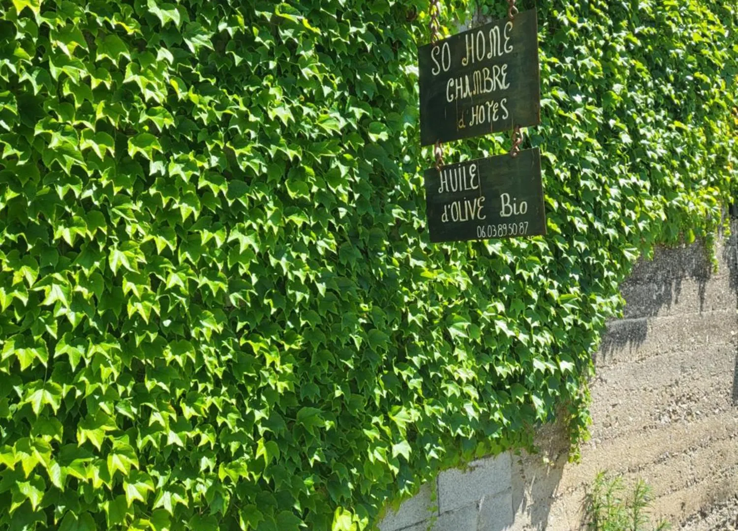 Homestay So Home Saint-Pantaleon-les-Vignes
